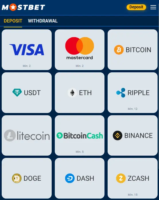 Financial Management and Support - Mostbet Financial Management and Support - Mostbet